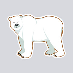 Polar bear. Isolated vector illustration.