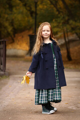 Irish little girl outdoor photo on fall landscape background