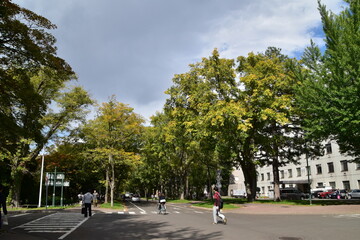 Fototapeta na wymiar The view of Hokkaido University in Sapporo City, Japan