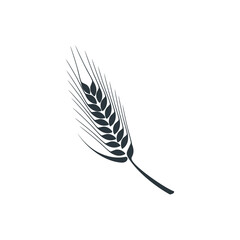 Agriculture wheat for graphic,app and website