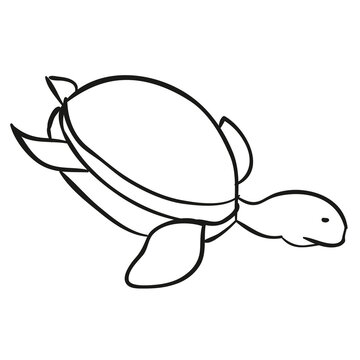 sketch sea turtle, coloring book, caricature, isolated object on white background, vector,