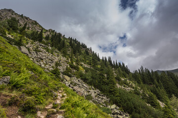 many rocks and trees while hiking in the mountains