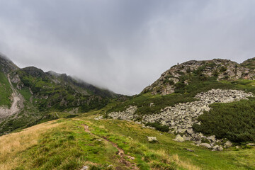 Obraz premium many rocks on a hiking trail in the mountains