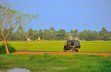 Fototapeta premium An autorickshaw running through a road surrounded by green fields.
