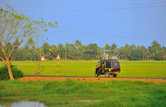 An autorickshaw running through a road surrounded by green fields.