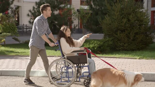 Young man with dog riding his disabled invalid girl on wheelchair and meet their friend. Three happy diverse multiethnic people spending time outdoors on lovely sunny summer day