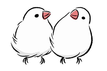 なかよしな文鳥