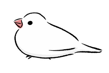 ちょこんとたたずむ文鳥