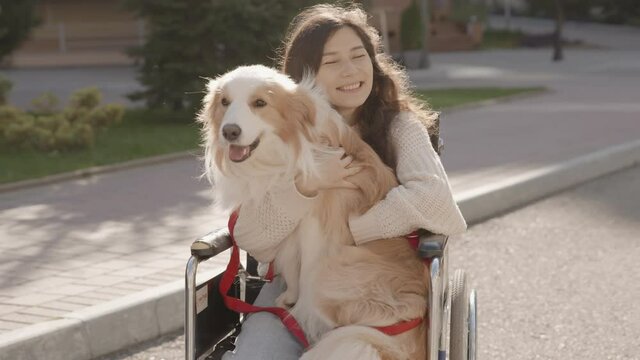 Asian handicapped girl with paralysis living full life. Portrait of disabled happy young woman in wheelchair with her guide dog looking at camera. Outdoor summer shot. 6k downscale 10 bit color.
