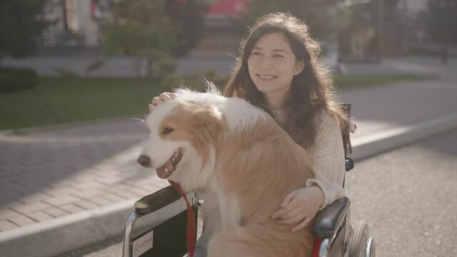 Portrait of disabled happy blind woman in wheelchair with her guide dog looking at camera. Asian handicapped visually impaired girl with paralysis living full life. Outdoor summer. 6k downscale 10 bit