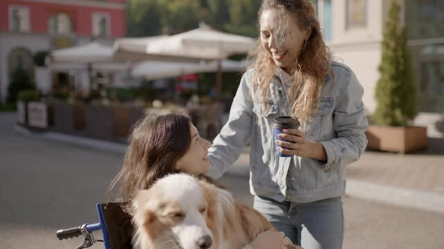Pretty disabled invalid girl sitting on wheelchair with dog on hands and communicating with her friend while walking on the street. Two happy girlfriends spending time outdoors on lovely sunny day.
