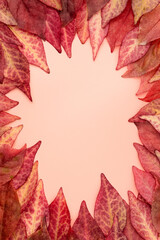 Vertical frame of red and orange autumn leaves of euonymus on pink background. Copy space.