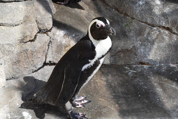Aquarium in Sendai City, Japan