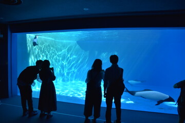 Aquarium in Sendai City, Japan