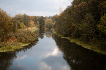 Fototapeta na wymiar a small river that flowed through the autumn forest. forest in mid-autumn. the nature of Belarus