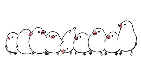 文鳥がいっぱい