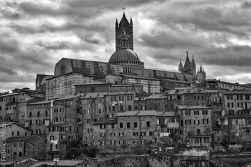Obraz premium Duomo di Siena