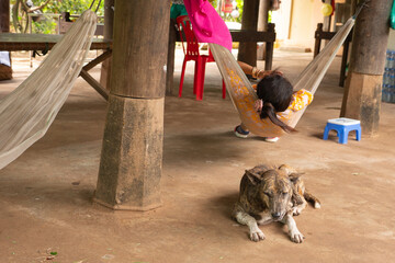 Cambogia, un cane sdraiato vicino alla padrona