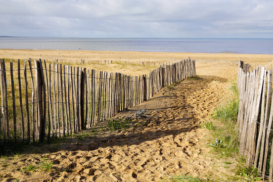 pathway in sand beach to access in Chatelaillon Plage sea near La Rochelle in France