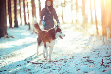 children play with a dog in the winter landscape of a sunny forest, snowfall girls and husky