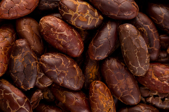 Fresh Roasted Cocoa Beans Background From Above.