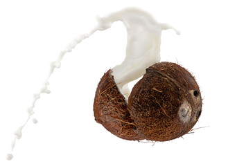 coconut with milk splash on a white background