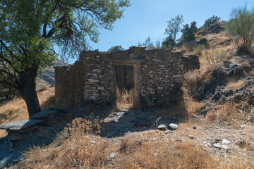 Old ruined dwelling next to a tree