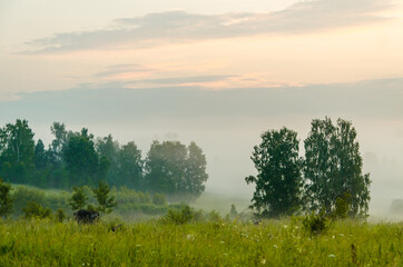 Obraz premium morning fog over the lake. Sunlight through the forest