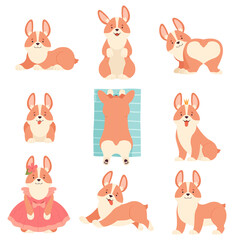 Welsh Corgi with Short Legs and Brown Coat in Different Poses Vector Set