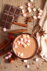 Fototapeta na wymiar hot chocolate with spices and marshmallow