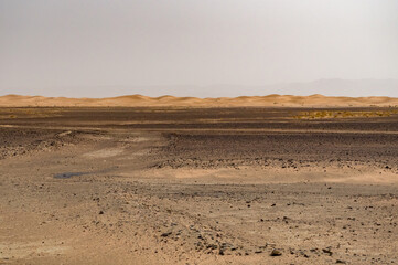 Fototapeta na wymiar Desert sand dune in Morocco
