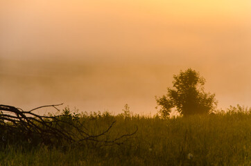 morning fog over the lake. Sunlight through the forest