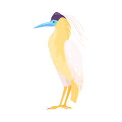 Tropical Bird with Bright Feathers as Warm-blooded Vertebrates or Aves Vector Illustration