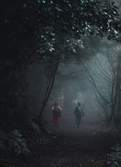 Obraz premium Hiking in Misty Forest