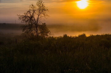 Fototapeta na wymiar morning fog over the lake. Sunlight through the forest