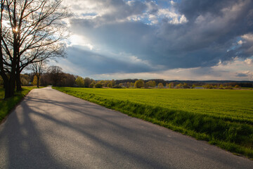 Empty road in spring landscape