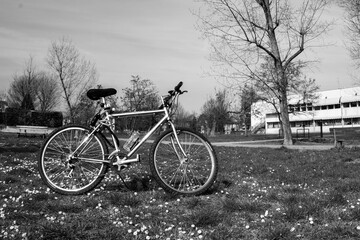 Obraz premium Bicycle in the park