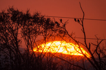 Big Sun telescope 900mm