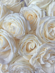 Many white roses are a top view. Vintage style.
