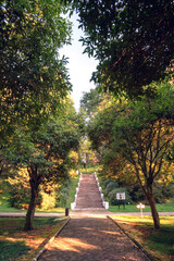 The alley in park with stone stairway and  trees in fall season at sunny day