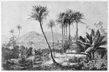 thatched huts surrounded by deep african vegetation in Timbo, town in Mamou region of Guinea. Ancient grey tone etching style art by Sabatier, published on Le Tour du Monde, Paris, 1861