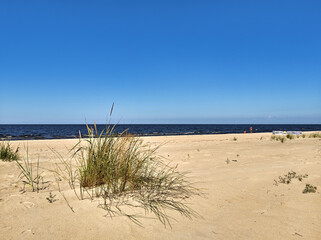 Sandy beach of Baltic Sea in summer.