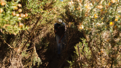 Woman with a hat hiking among the heathland in mountains