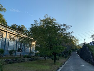 bridge over the river