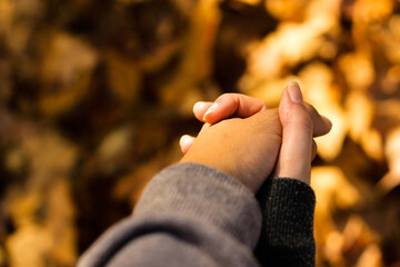 Amor