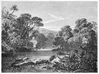calm water of Kakriman river, Guinea, surrounded by lush jungle vegetation in western Africa. Ancient grey tone etching style art by Sabatier after Lambert, Le Tour du Monde, Paris, 1861 - 385232358
