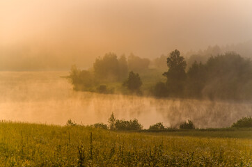 Fototapeta na wymiar morning fog over the lake. Sunlight through the forest