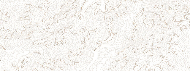 Retro topographic map. Geographic contour map. Abstract outline grid, vector illustration.