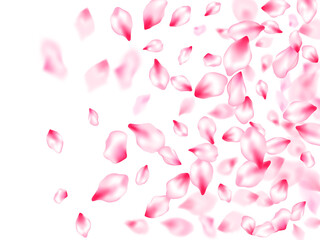 Spring tree flowers parts, airy flying petals