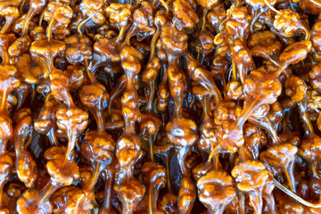 Cevizli sucuk made by dipping a string with walnuts into a grape molasses mixture. Cevizli sucuk as texture background.